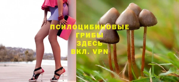 бутират Баксан
