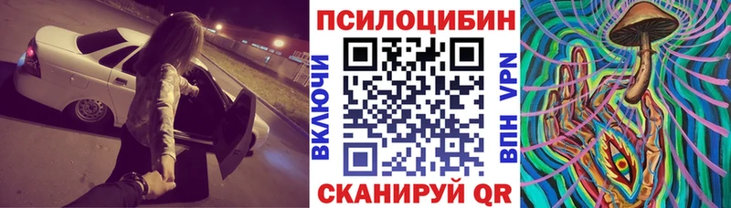 Купить где  Высоковск  Псилоцибиновые грибы прущие грибы 