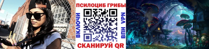 Псилоцибиновые грибы GOLDEN TEACHER Высоковск